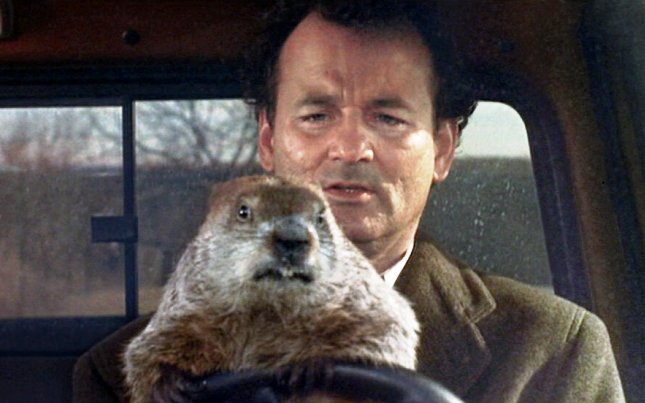Bill Murry with Groundhog