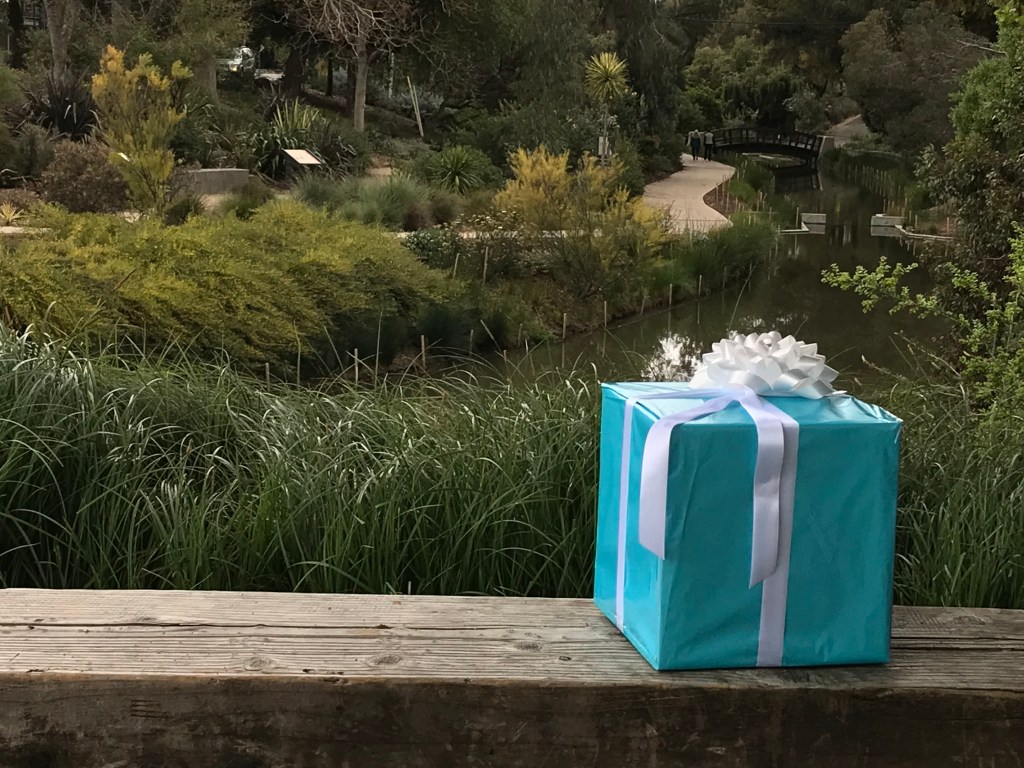 Picture of a blue present with a white bow. 