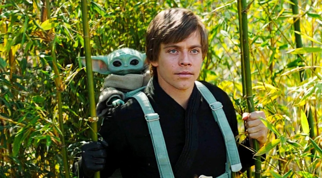 Luke Skywalker and Grogu. 