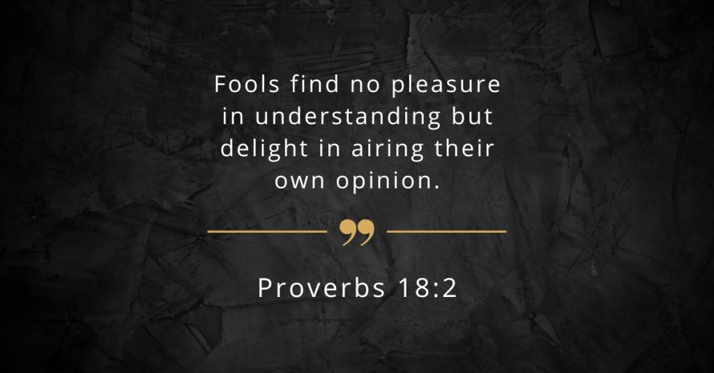 Proverbs 18:2 - "Fools find no pleasure in understanding but delight in airing their own opinion." 